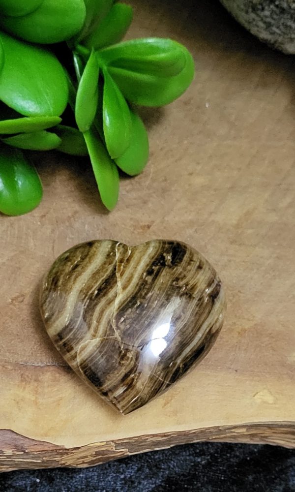 Versteend Hout Hart
