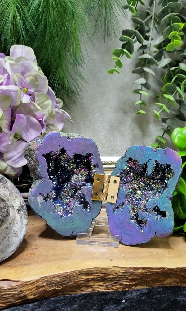 Solarus Geode Vlinder