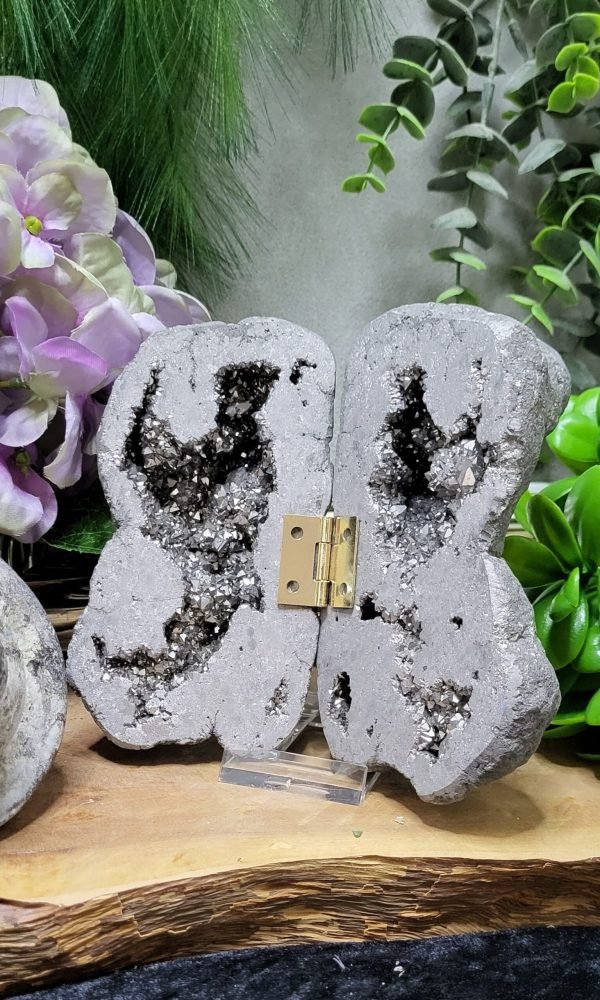 Solarus Geode Vlinder