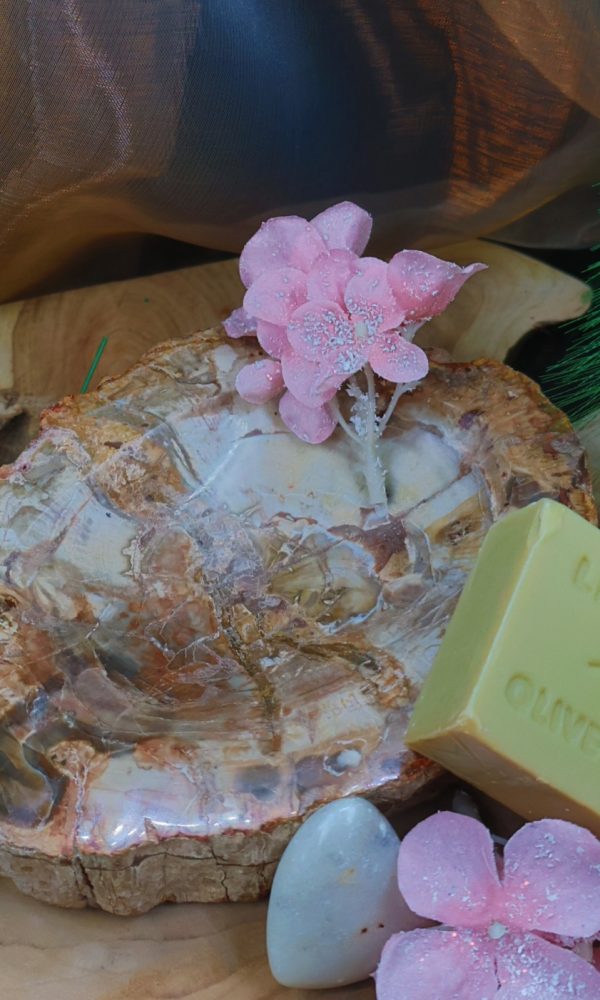 Versteend houten schaal