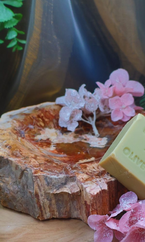 Versteend houten schaal