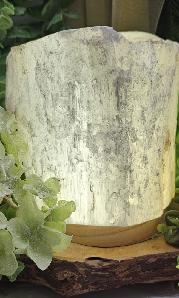 Seleniet lamp op led voet